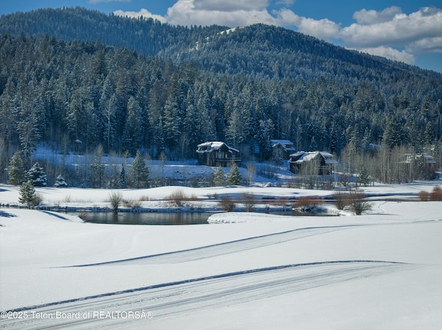 42 Blackfoot Trl, Victor, ID 83455