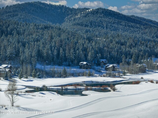 42 Blackfoot Trl, Victor, ID 83455