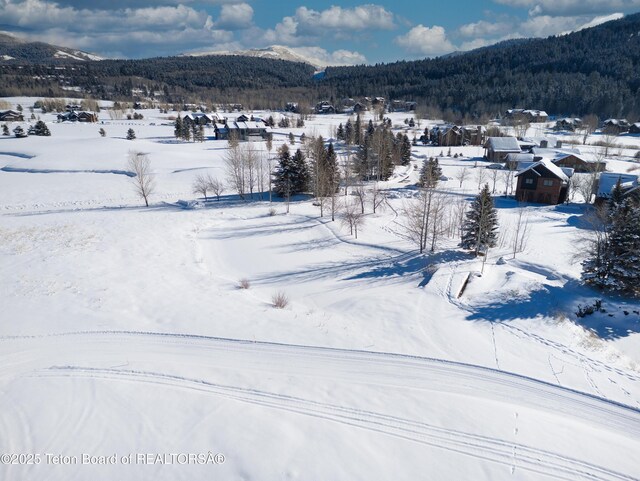 42 Blackfoot Trl, Victor, ID 83455