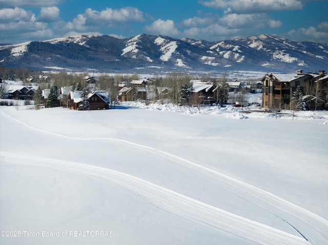 42 Blackfoot Trl, Victor, ID 83455