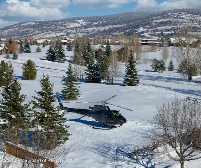 42 Blackfoot Trl, Victor, ID 83455
