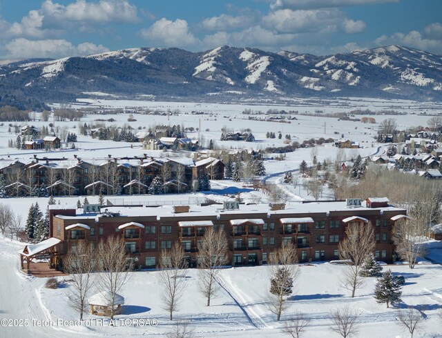 42 Blackfoot Trl, Victor, ID 83455