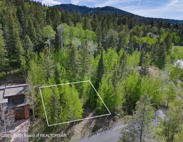 42 Blackfoot Trl, Victor, ID 83455