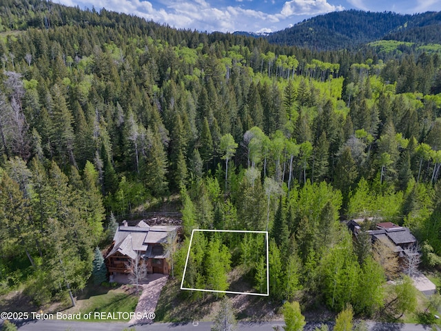42 Blackfoot Trl, Victor, ID 83455