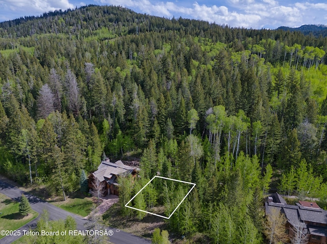 42 Blackfoot Trl, Victor, ID 83455
