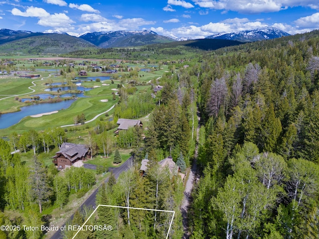 42 Blackfoot Trl, Victor, ID 83455