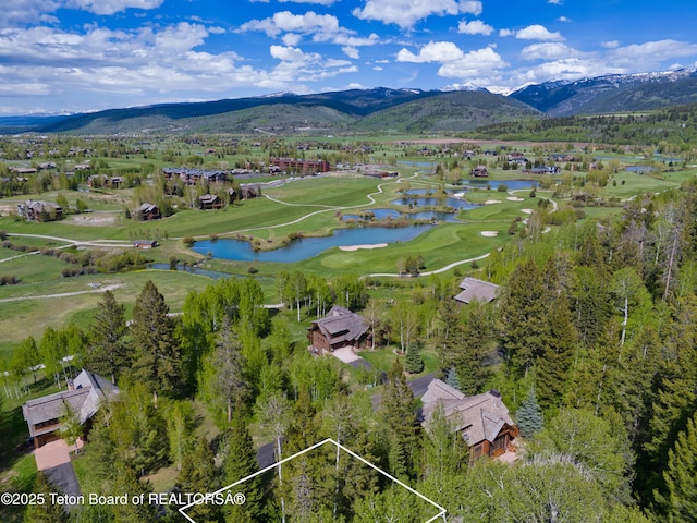 42 Blackfoot Trl, Victor, ID 83455