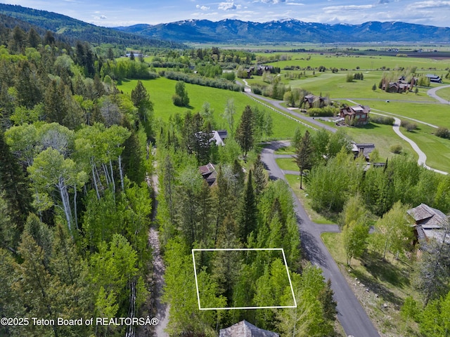 42 Blackfoot Trl, Victor, ID 83455