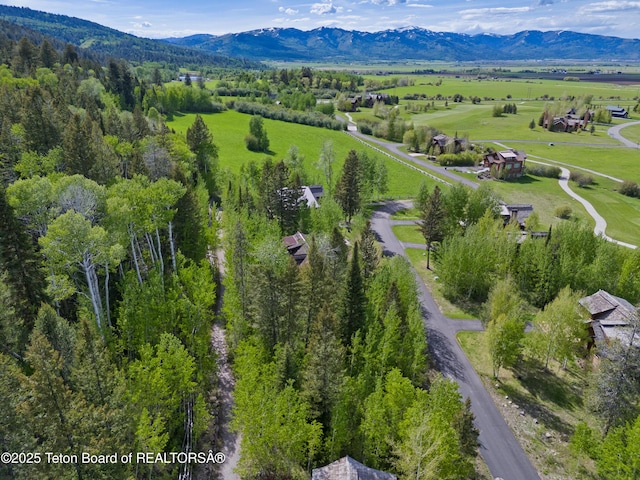 42 Blackfoot Trl, Victor, ID 83455