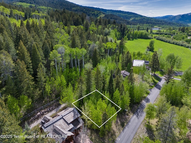42 Blackfoot Trl, Victor, ID 83455