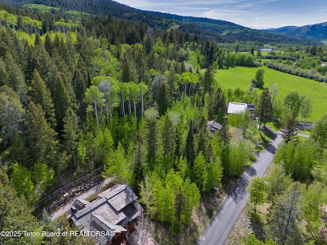 42 Blackfoot Trl, Victor, ID 83455