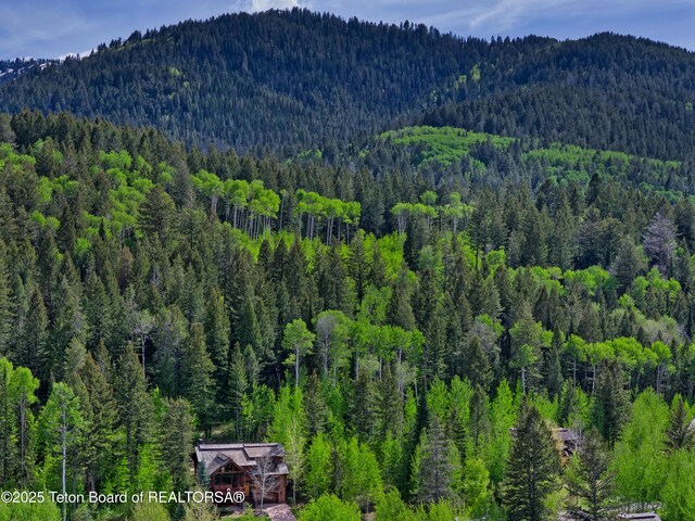 42 Blackfoot Trl, Victor, ID 83455