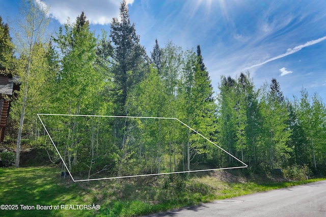 42 Blackfoot Trl, Victor, ID 83455