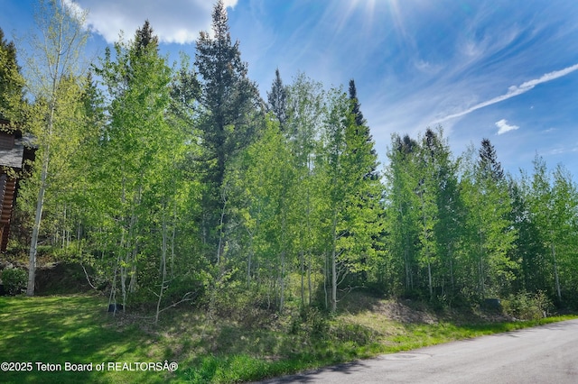 42 Blackfoot Trl, Victor, ID 83455