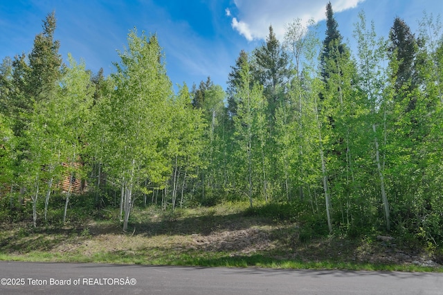 42 Blackfoot Trl, Victor, ID 83455