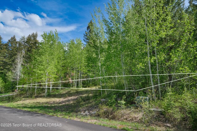 42 Blackfoot Trl, Victor, ID 83455