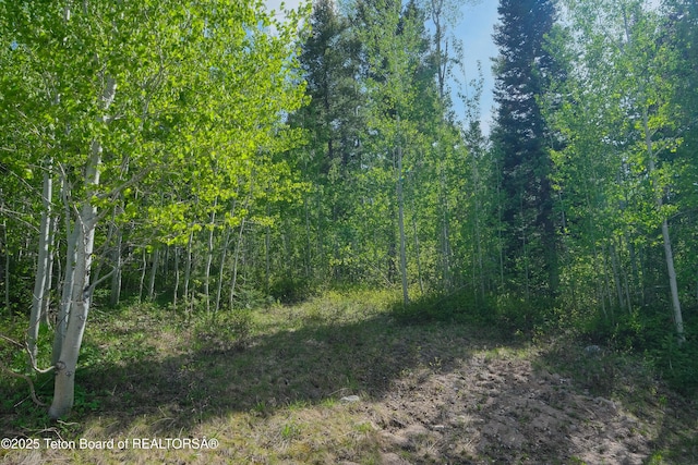 42 Blackfoot Trl, Victor, ID 83455