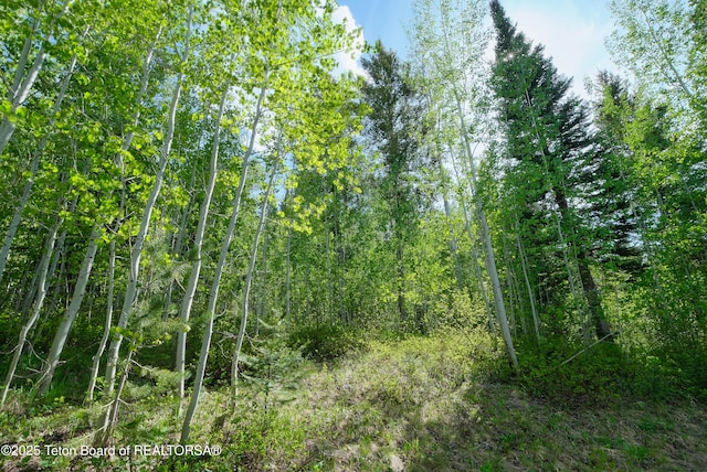 42 Blackfoot Trl, Victor, ID 83455