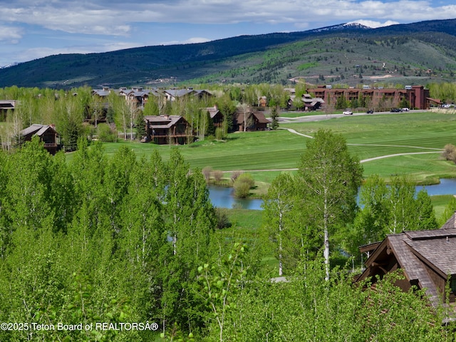 42 Blackfoot Trl, Victor, ID 83455