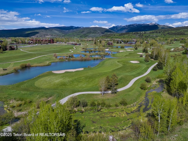 42 Blackfoot Trl, Victor, ID 83455