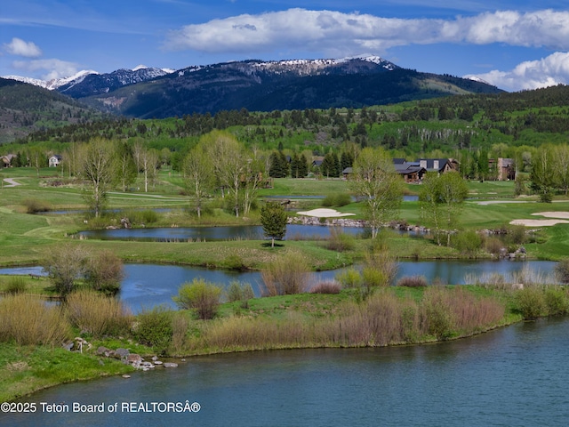 42 Blackfoot Trl, Victor, ID 83455