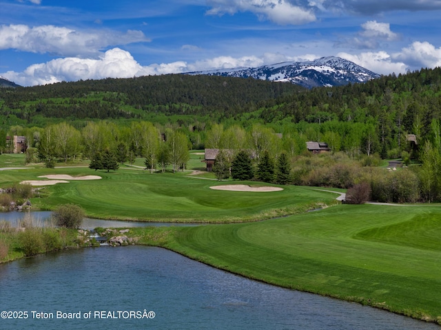 42 Blackfoot Trl, Victor, ID 83455