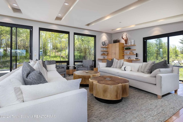 living room with light wood-type flooring and a wealth of natural light