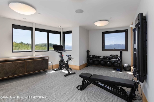 exercise area featuring carpet floors