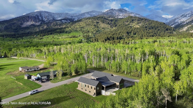 6711 Piute Dr, Star Valley Ranch, WY 83127 - view from above of property with a mountain backdrop and a heavily wooded area