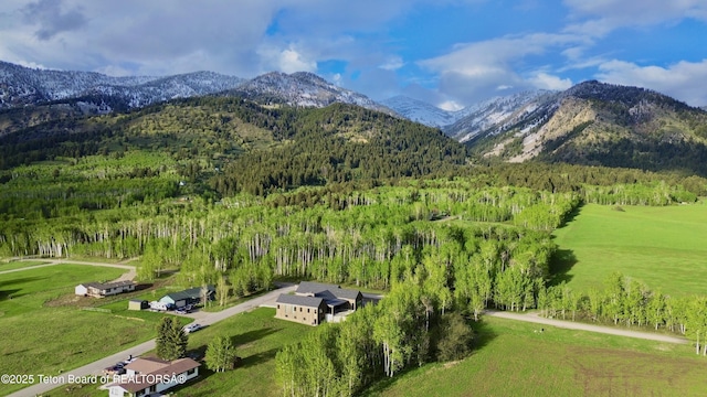 6711 Piute Dr, Star Valley Ranch, WY 83127 - view of mountain background with a heavily wooded area