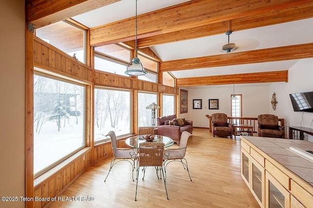 interior space featuring lofted ceiling with beams, a healthy amount of sunlight, and light wood finished floors