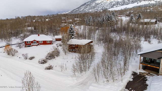 snowy aerial view with a mountain view and a wooded view