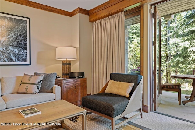 living area featuring carpet floors and crown molding