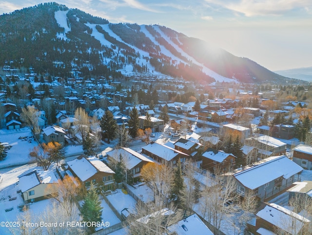 snowy aerial view featuring a mountain view