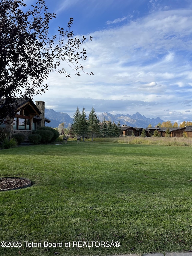 view of yard featuring a mountain view