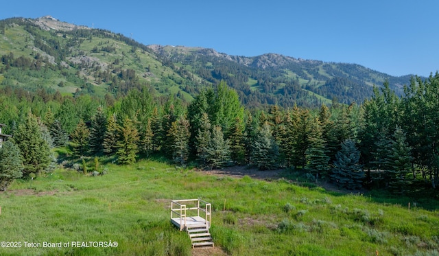 3615 Coyote Creek Rd, Teton Village, WY 83025 - photo 3