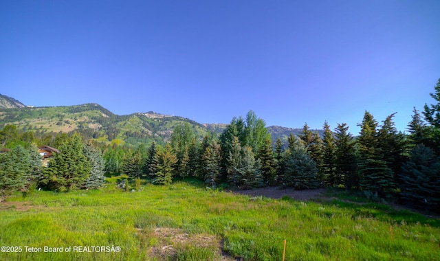 3615 Coyote Creek Rd, Teton Village, WY 83025 - photo 2