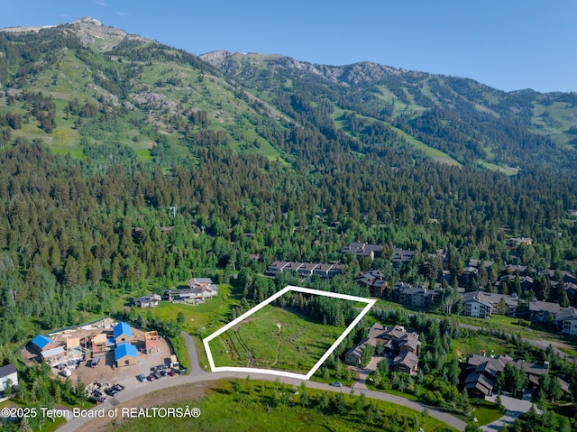 3615 Coyote Creek Rd, Teton Village, WY 83025 - photo 1