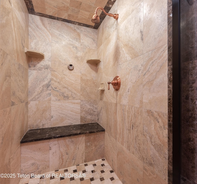 room details featuring tiled shower