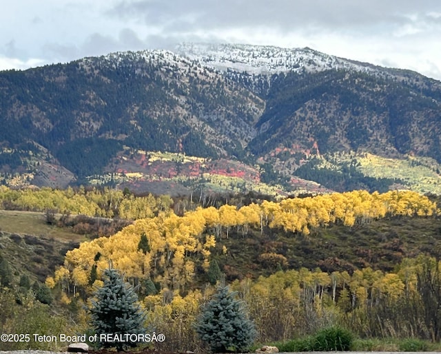 mountain view with a wooded view