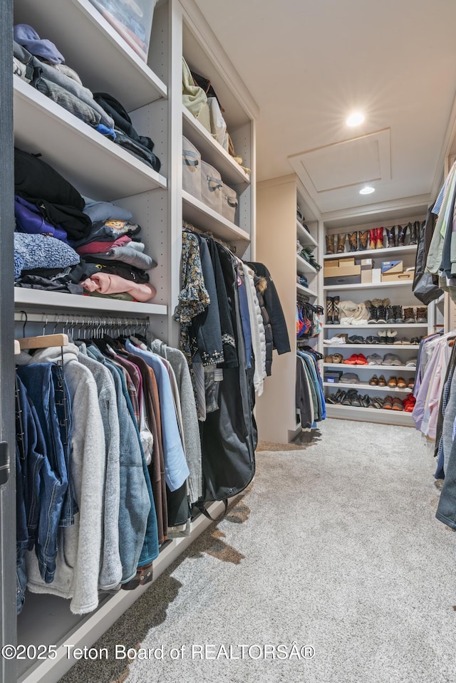 spacious closet with carpet and attic access