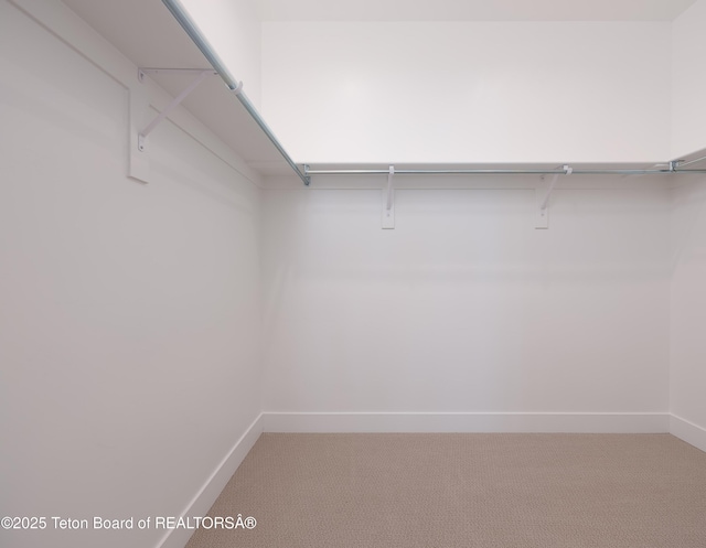 spacious closet with carpet floors