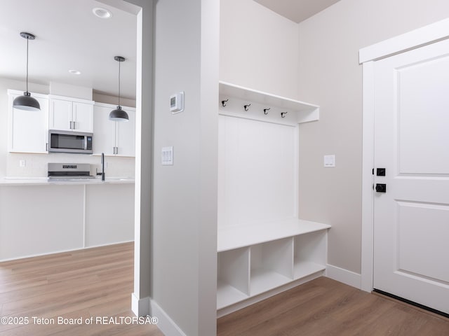 mudroom with hardwood / wood-style flooring