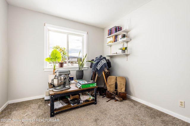 office area with carpet floors