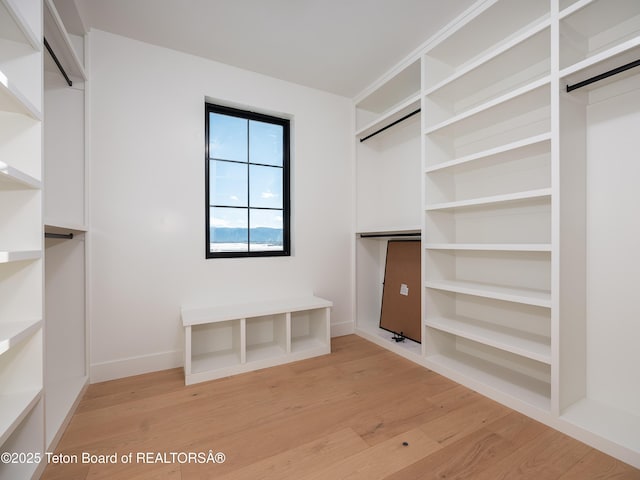 spacious closet with hardwood / wood-style flooring