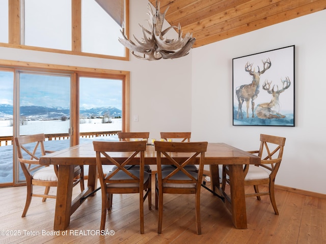 dining area featuring hardwood / wood-style flooring and a mountain view