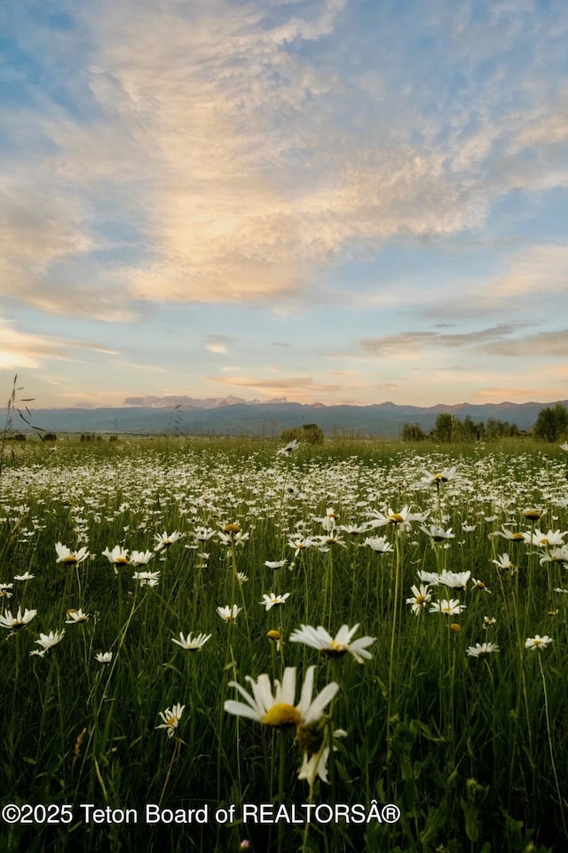 nature at dusk with a mountain view