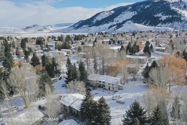 property view of mountains