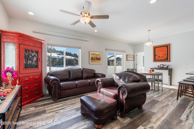 living room with ceiling fan, dark hardwood / wood-style flooring, and a wealth of natural light