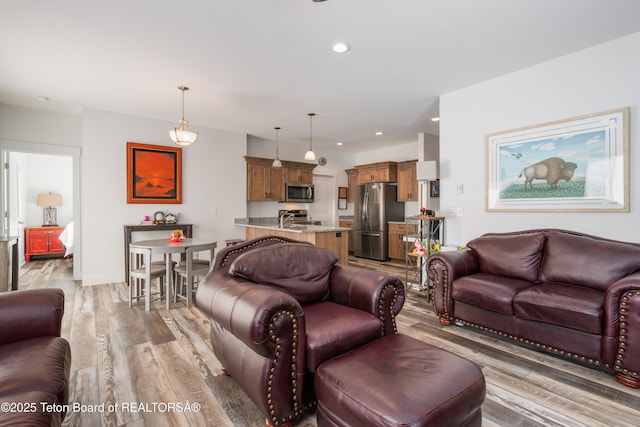 living room with light wood-type flooring